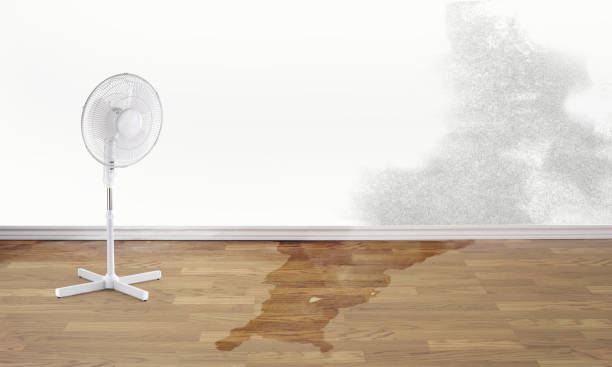 Professional Water damage restoration in Woodcliff Lake, NJ