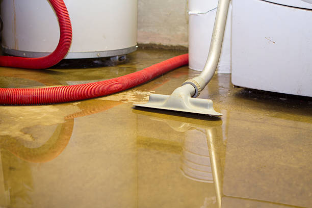 Best Water damage restoration mold remediation  in Woodcliff Lake, NJ