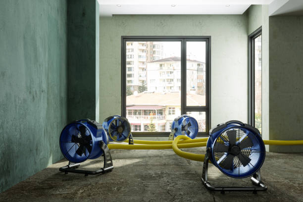Best Mold removal after water damage  in Woodcliff Lake, NJ