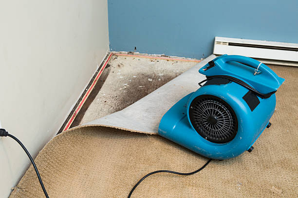 Best Water damage restoration insurance claims  in Woodcliff Lake, NJ